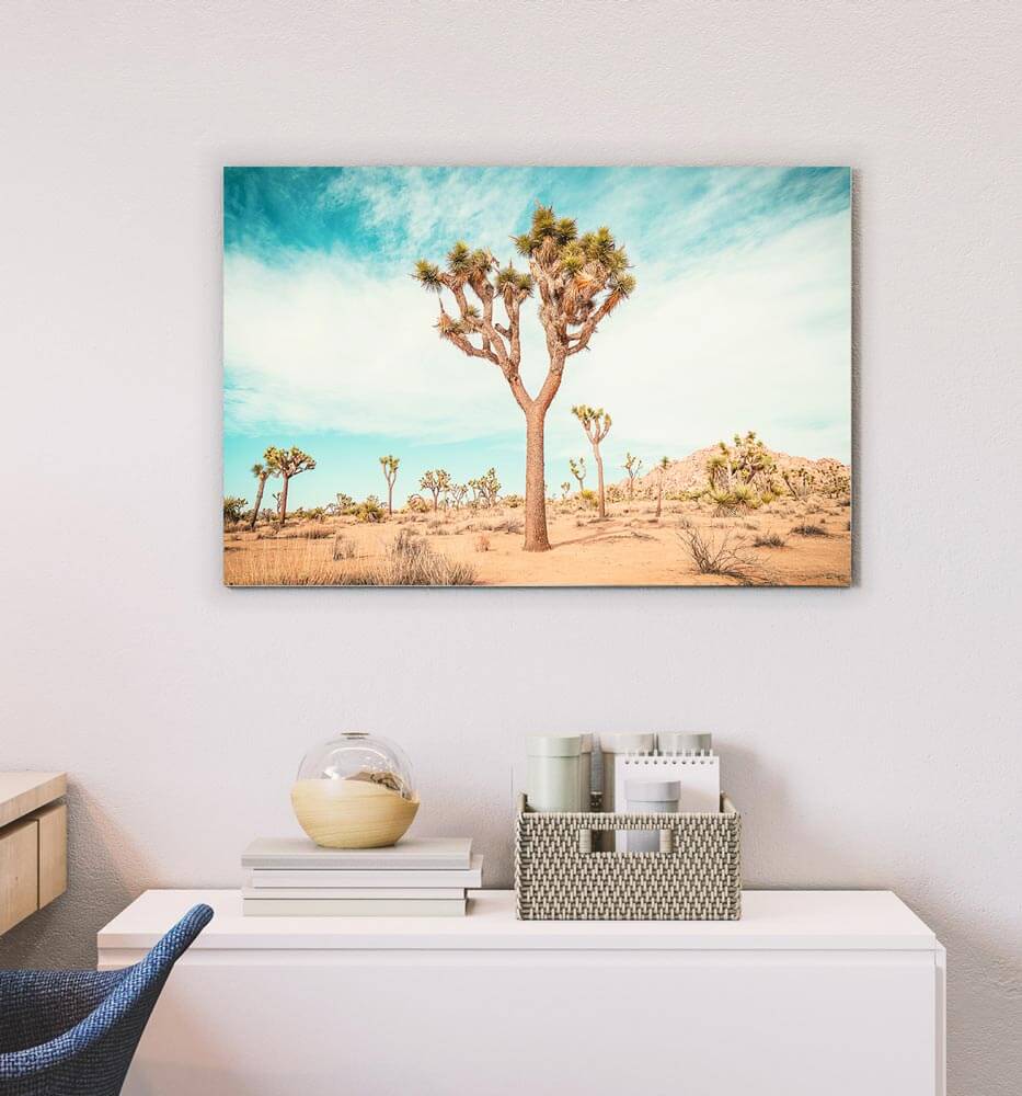 Travis Chenoweth Landscape Photography wall art print example - Joshua Tree California